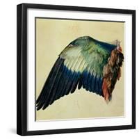 Wing of a Blue Roller, 1512-Albrecht Dürer-Framed Giclee Print