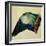 Wing of a Blue Roller, 1512-Albrecht Dürer-Framed Giclee Print