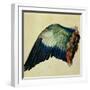 Wing of a Blue Roller, 1512-Albrecht Dürer-Framed Giclee Print