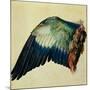 Wing of a Blue Roller, 1512-Albrecht Dürer-Mounted Giclee Print