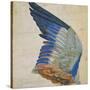 Wing of a Blue Roller, Copy of an Original by Albrecht Durer of 1512-Hans Hoffmann-Stretched Canvas