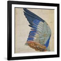 Wing of a Blue Roller, Copy of an Original by Albrecht Durer of 1512-Hans Hoffmann-Framed Giclee Print