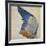 Wing of a Blue Roller, Copy of an Original by Albrecht Durer of 1512-Hans Hoffmann-Framed Giclee Print