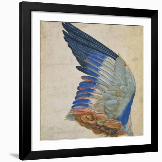 Wing of a Blue Roller, Copy of an Original by Albrecht Durer of 1512-Hans Hoffmann-Framed Giclee Print