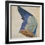 Wing of a Blue Roller, Copy of an Original by Albrecht Durer of 1512-Hans Hoffmann-Framed Giclee Print