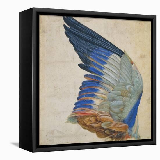 Wing of a Blue Roller, Copy of an Original by Albrecht Durer of 1512-Hans Hoffmann-Framed Stretched Canvas