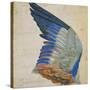 Wing of a Blue Roller, Copy of an Original by Albrecht Durer of 1512-Hans Hoffmann-Stretched Canvas