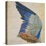 Wing of a Blue Roller, Copy of an Original by Albrecht Durer of 1512-Hans Hoffmann-Stretched Canvas