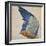 Wing of a Blue Roller, Copy of an Original by Albrecht Durer of 1512-Hans Hoffmann-Framed Giclee Print