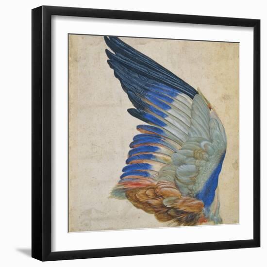 Wing of a Blue Roller, Copy of an Original by Albrecht Durer of 1512-Hans Hoffmann-Framed Giclee Print