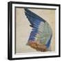 Wing of a Blue Roller, Copy of an Original by Albrecht Durer of 1512-Hans Hoffmann-Framed Giclee Print