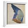 Wing of a Blue Roller, Copy of an Original by Albrecht Durer of 1512-Hans Hoffmann-Framed Giclee Print