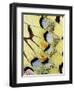 Wing of a Butterfly-Darrell Gulin-Framed Photographic Print