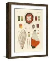 Wing of a Butterfly-null-Framed Giclee Print