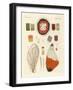 Wing of a Butterfly-null-Framed Giclee Print