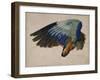 Wing of a European Roller, 1512 watercolor-Albrecht Dürer or Duerer-Framed Giclee Print