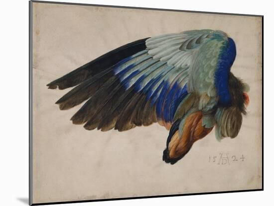 Wing of a European Roller, 1512 watercolor-Albrecht Dürer or Duerer-Mounted Giclee Print