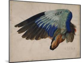 Wing of a European Roller, 1512 watercolor-Albrecht Dürer or Duerer-Mounted Giclee Print