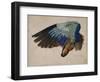 Wing of a European Roller, 1512 watercolor-Albrecht Dürer or Duerer-Framed Giclee Print