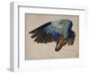 Wing of a European Roller, 1512 watercolor-Albrecht Dürer or Duerer-Framed Giclee Print