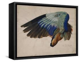 Wing of a European Roller, 1512 watercolor-Albrecht Dürer or Duerer-Framed Stretched Canvas