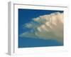 Wing of an Angel-Magda Indigo-Framed Photographic Print