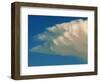 Wing of an Angel-Magda Indigo-Framed Photographic Print