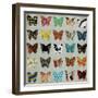 Wing Pattern II-Sydney Edmunds-Framed Giclee Print