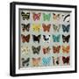 Wing Pattern II-Sydney Edmunds-Framed Giclee Print