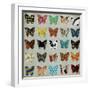 Wing Pattern II-Sydney Edmunds-Framed Giclee Print