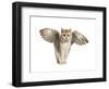 Winged Cat-null-Framed Art Print