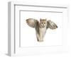 Winged Cat-null-Framed Art Print