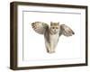 Winged Cat-null-Framed Art Print