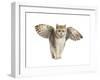 Winged Cat-null-Framed Art Print