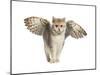 Winged Cat-null-Mounted Art Print