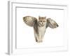 Winged Cat-null-Framed Art Print