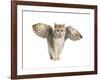 Winged Cat-null-Framed Art Print