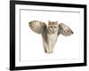 Winged Cat-null-Framed Art Print