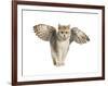 Winged Cat-null-Framed Art Print