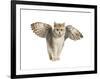Winged Cat-null-Framed Art Print