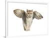 Winged Cat-null-Framed Art Print