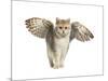 Winged Cat-null-Mounted Art Print