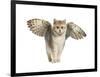 Winged Cat-null-Framed Art Print