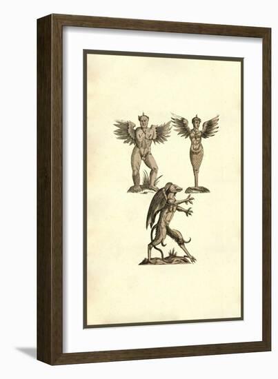 Winged Creatures-Ulisse Aldrovandi-Framed Art Print