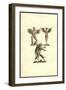Winged Creatures-Ulisse Aldrovandi-Framed Art Print