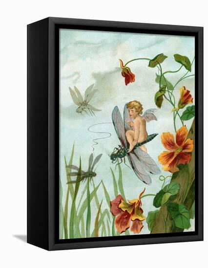Winged Fairy Riding a Dragonfly Near Nasturtium Flowers, 1882-null-Framed Stretched Canvas