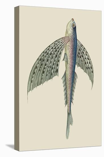 Winged Fish-J. Forbes-Stretched Canvas