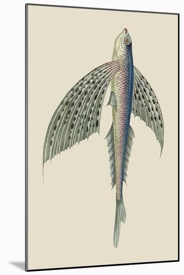 Winged Fish-J. Forbes-Mounted Art Print
