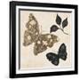 Winged Gold 1-Colleen Sarah-Framed Art Print