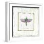 Winged Grasshopper-Jan Cooley-Framed Art Print